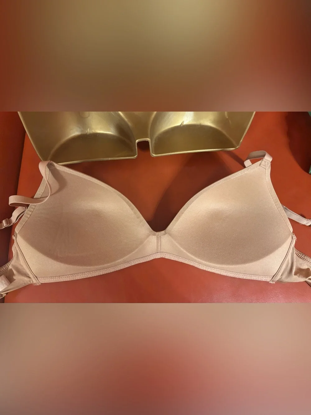 Seamless SKIMS bra