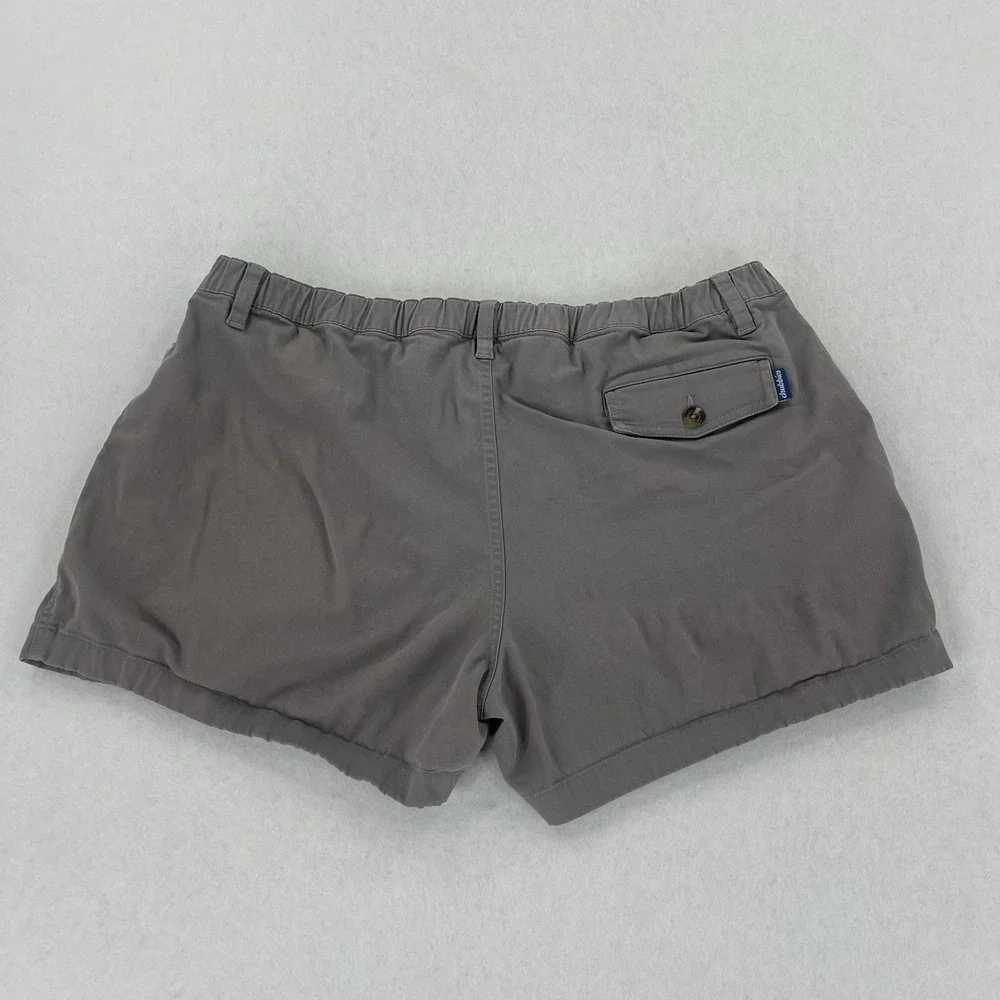 chubbies these shorts