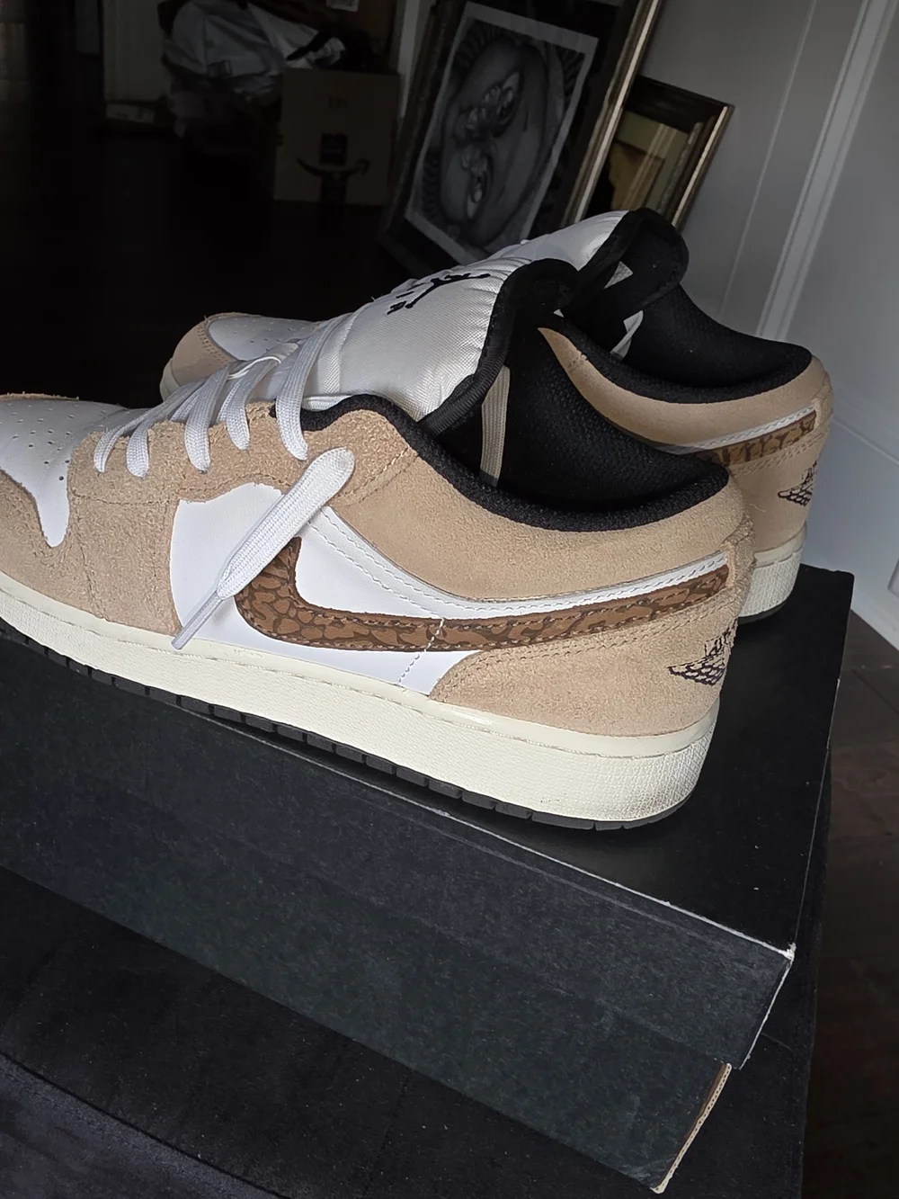 Jordan reposhing these