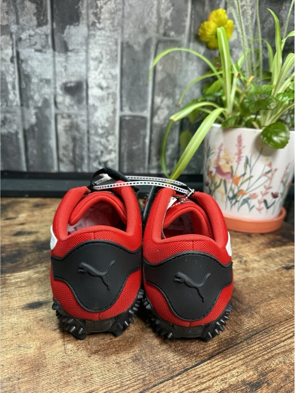 Puma mostro og