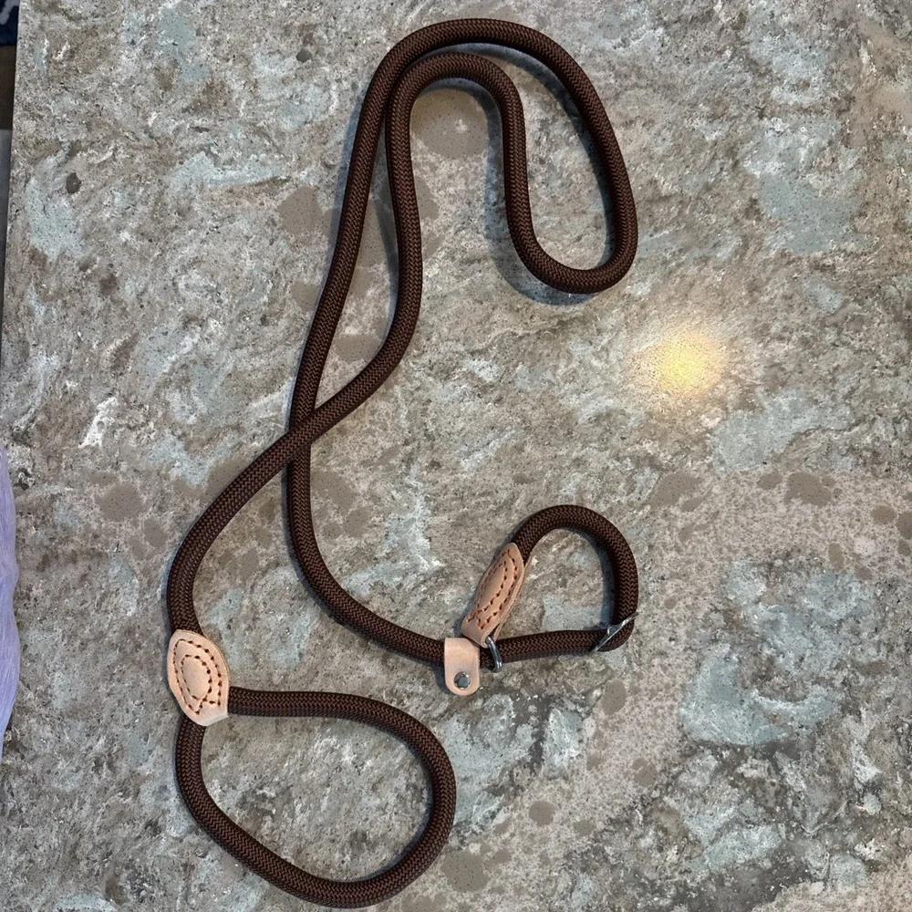 5' Nylon Leather Slip Lead Dog Leash‎ Brown Dog Training Walking Exercise