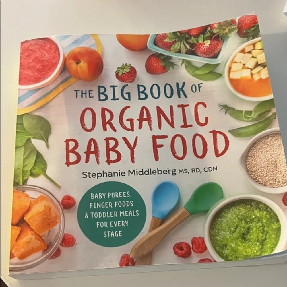 The Big Book of Organic Baby Food