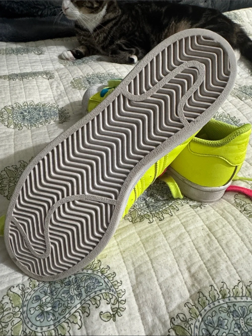 adidas bright neon