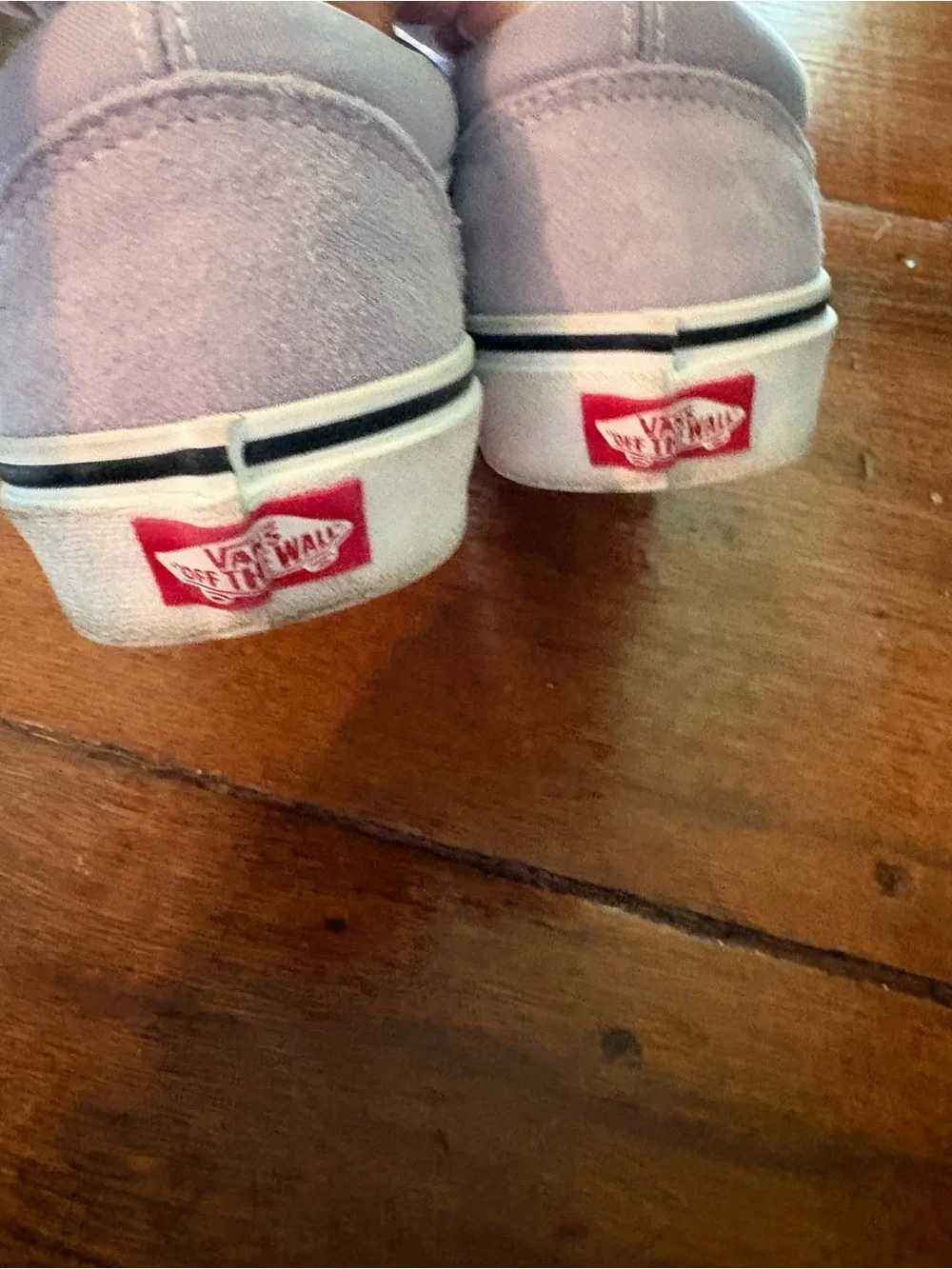Vans soft skate silhouette