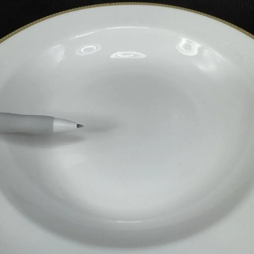 Fortessa Decorated Edges Deep Dish Bowl 9inch Porcelain Dishes Bowls Set 3 VTG‎