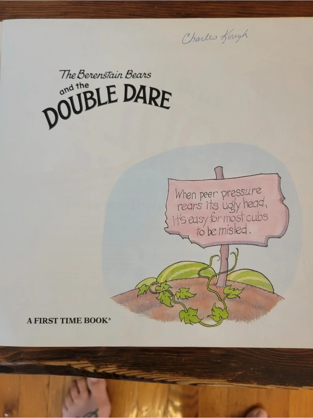 3 Set of Bernstein Bears- Double Dare, Trouble with Friends, & In Crowd