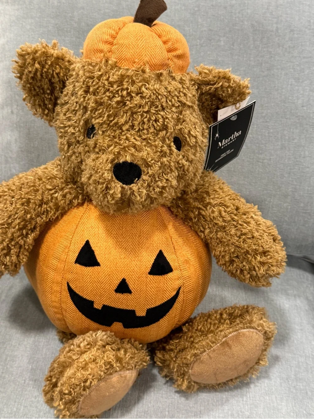 Martha stewart Halloween Pumpkin Bear Plush - Orange & Brown