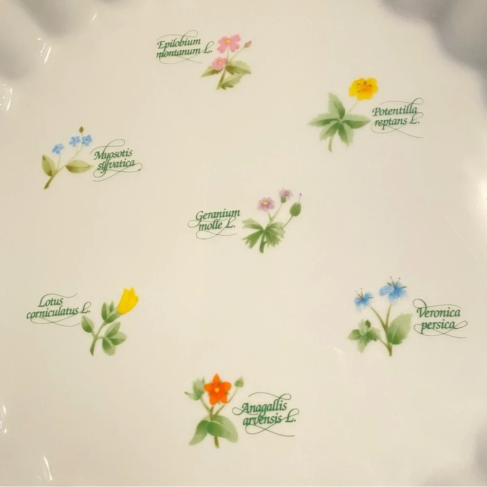 Anchor Ovenware anchor ovenware