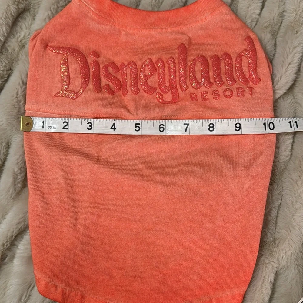 Disney disneyland resort