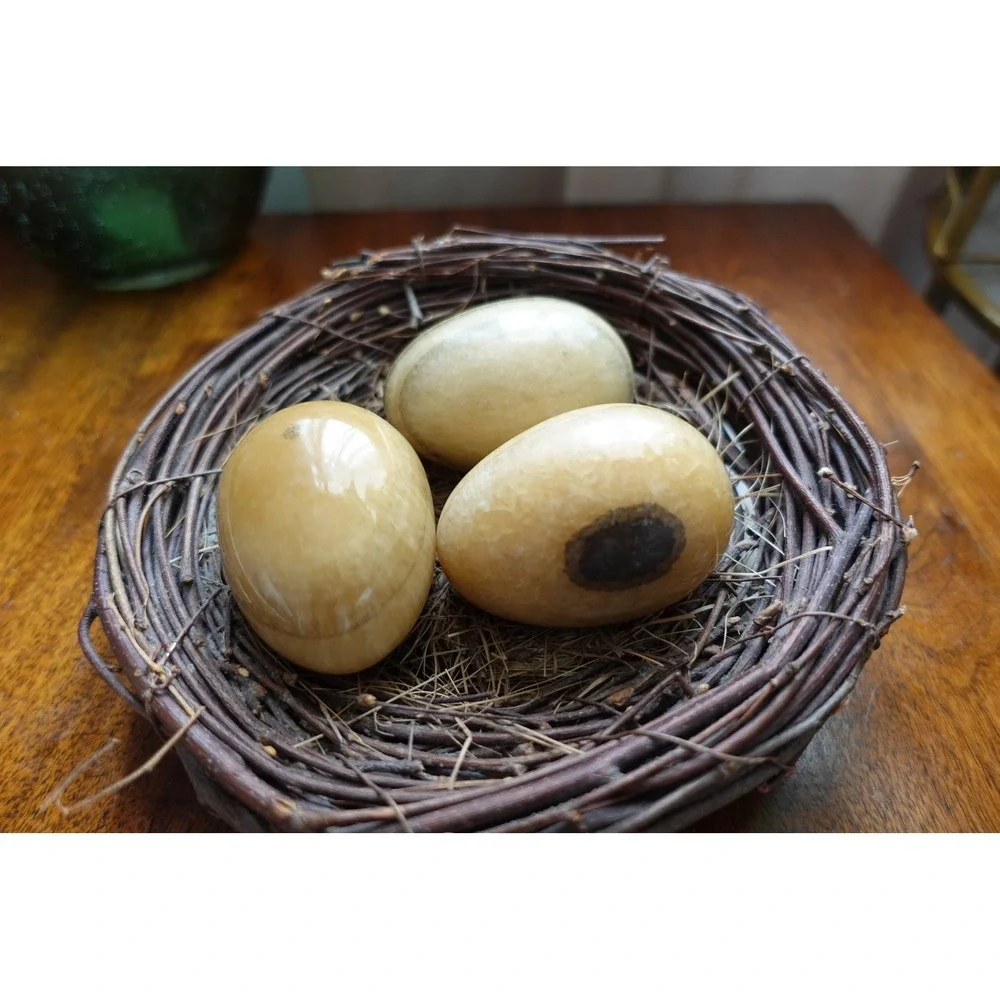 N/A nest very
