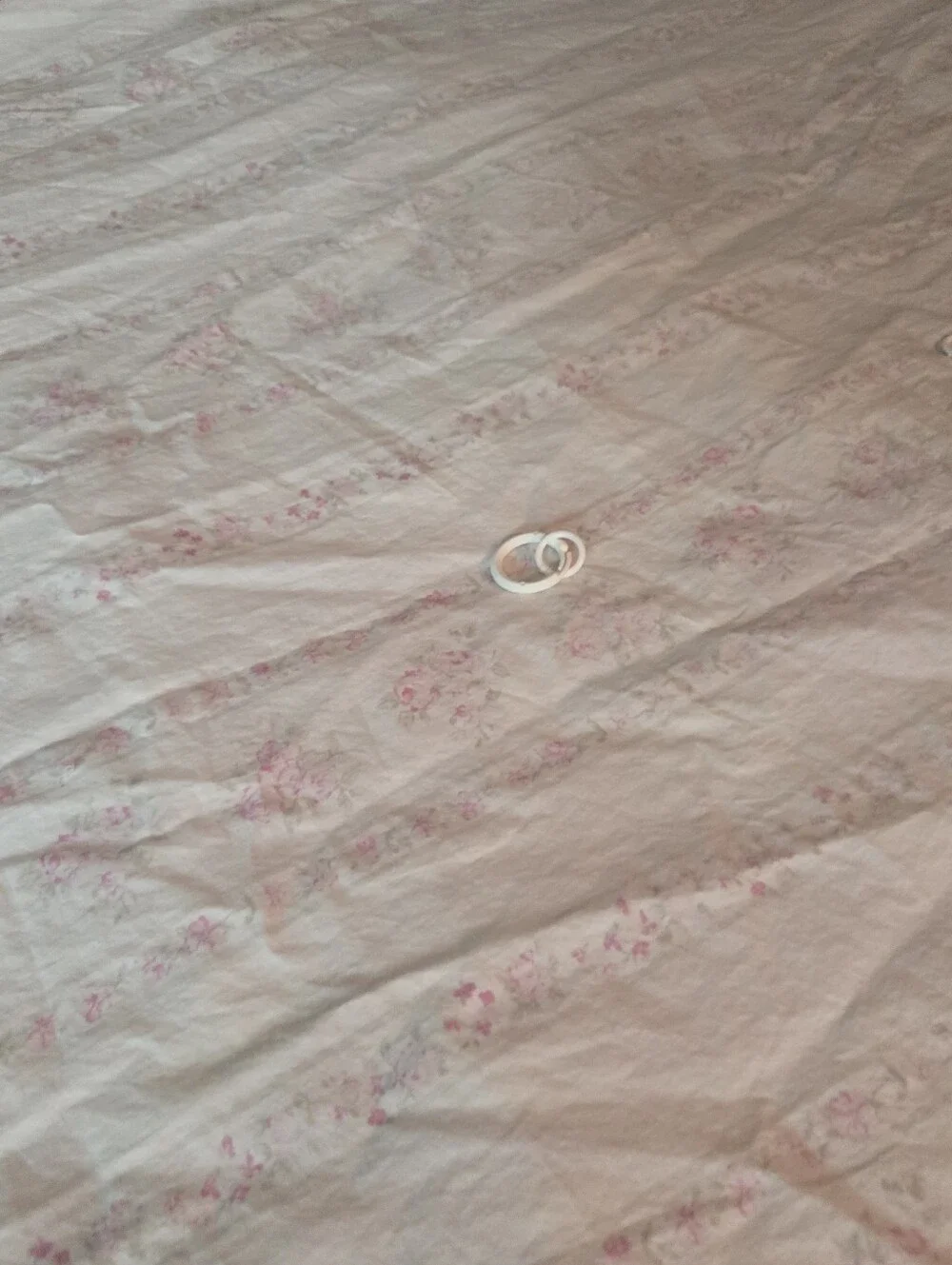 Simply Shabby Chic soft floral