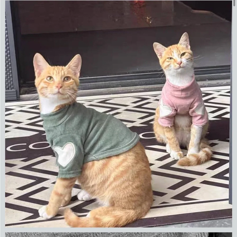 N/A size large