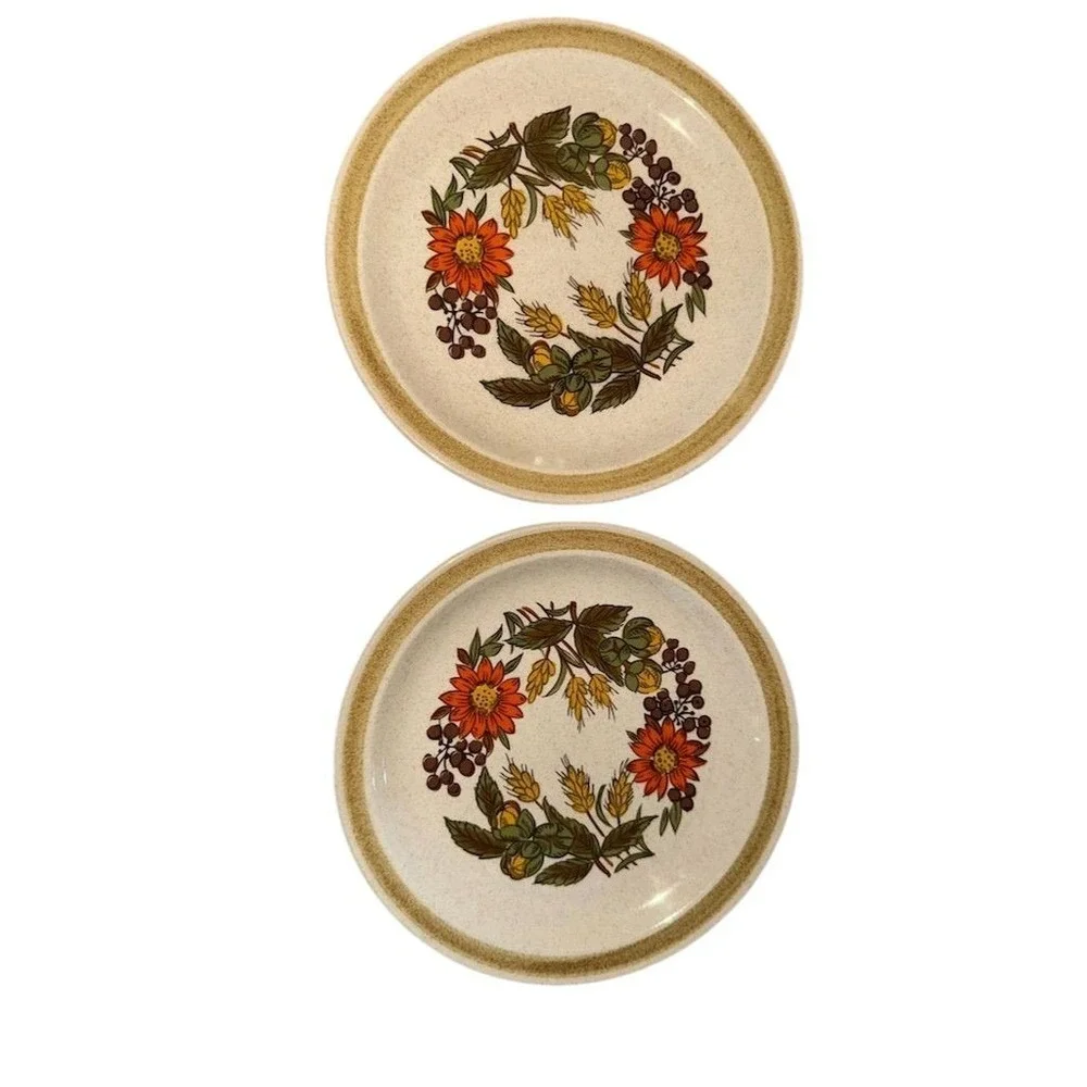 Lot of 2 Vtg International China Floral salad‎ Plates Country Living 7
