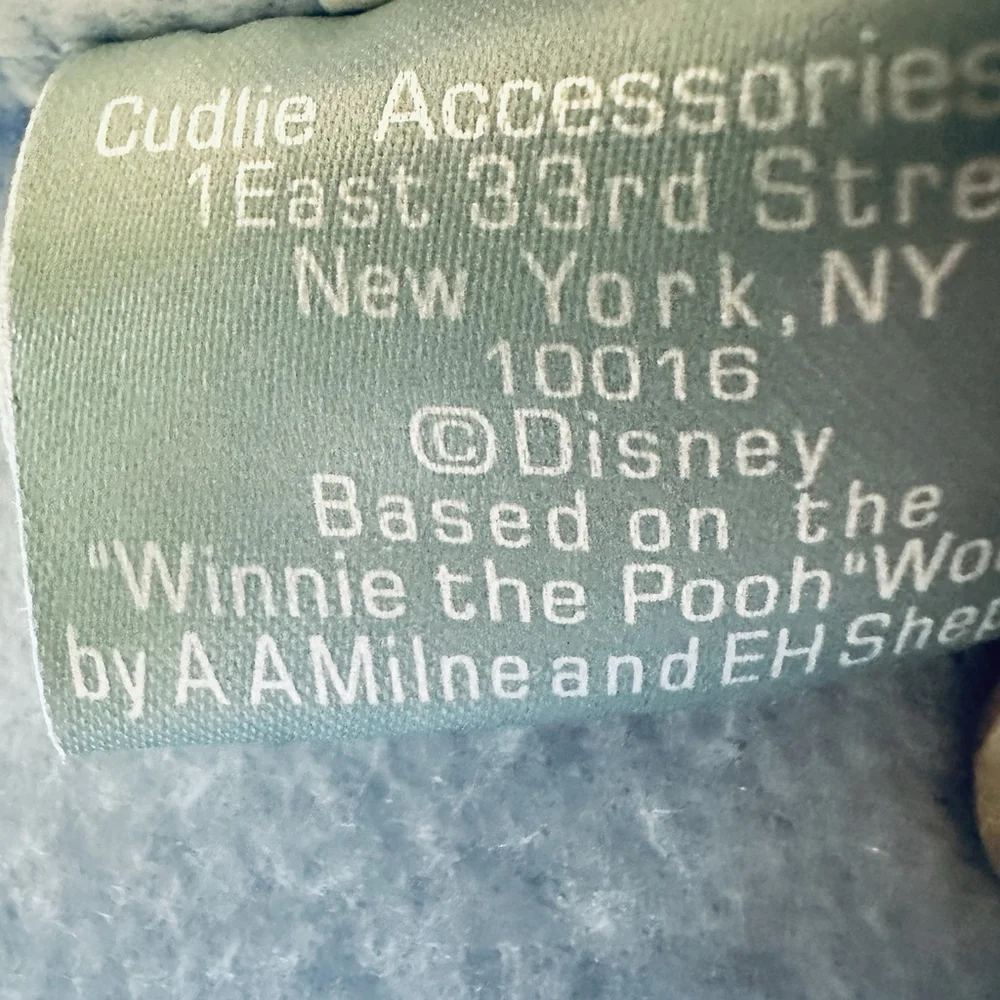 Disney very nice
