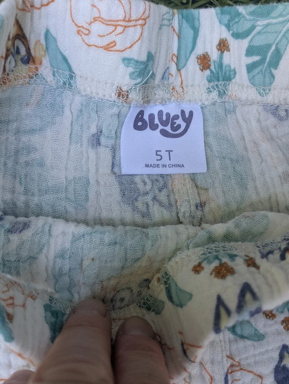 Bluey soft two