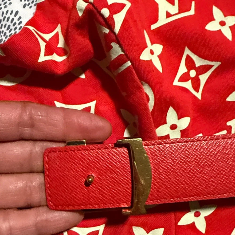 Louis Vuitton authentic louis