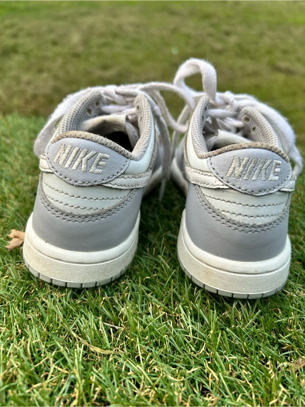 Nike Dunk Low PS Wolf Grey White DH9756-001 Kids Size 11 1/2 C,Sneakers