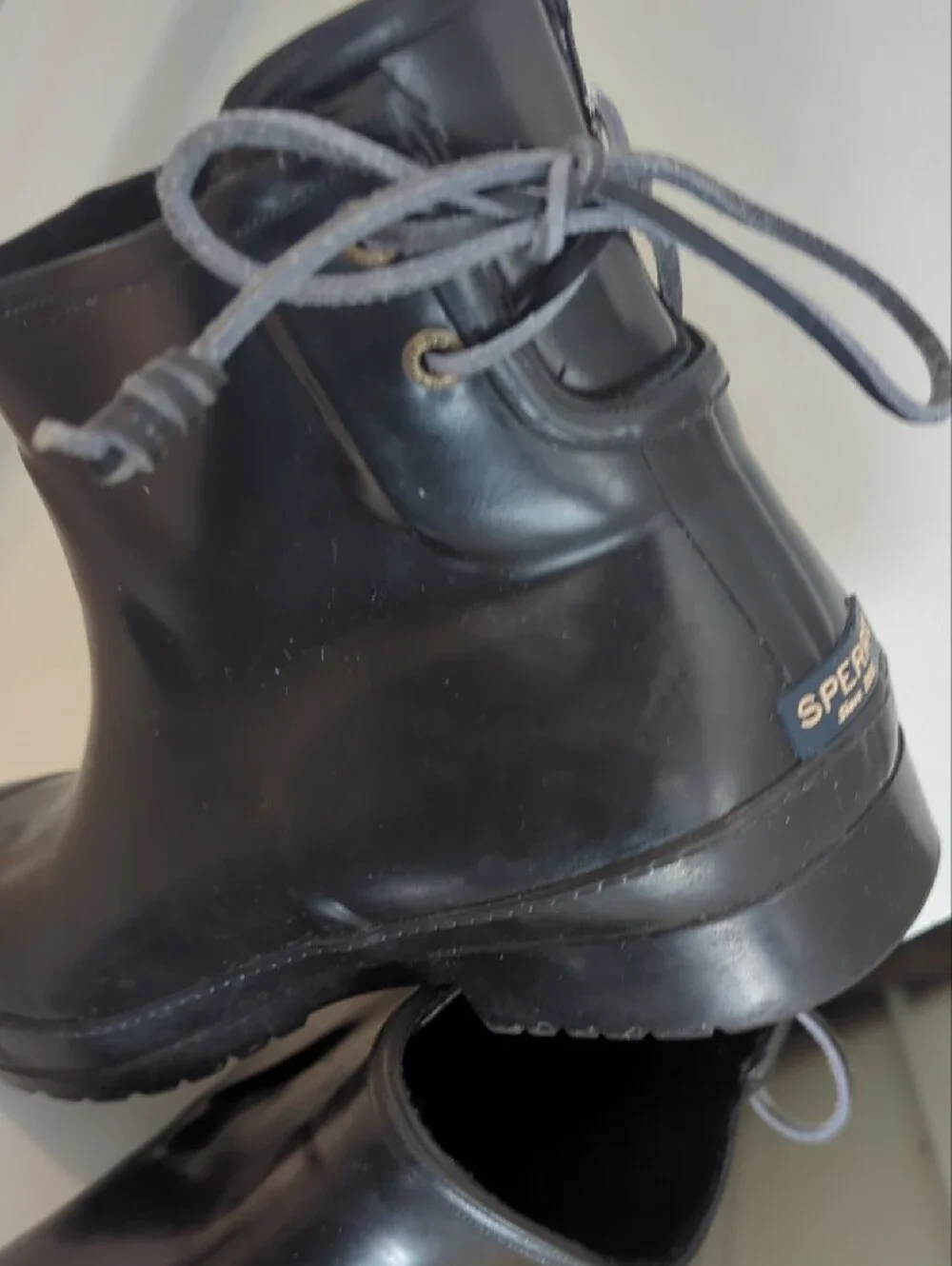 Sperry sturdy short