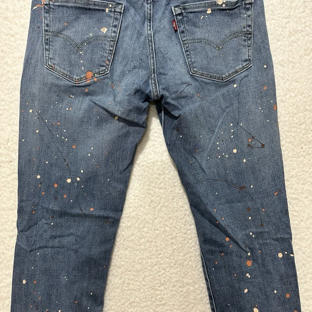 Levis levis 511