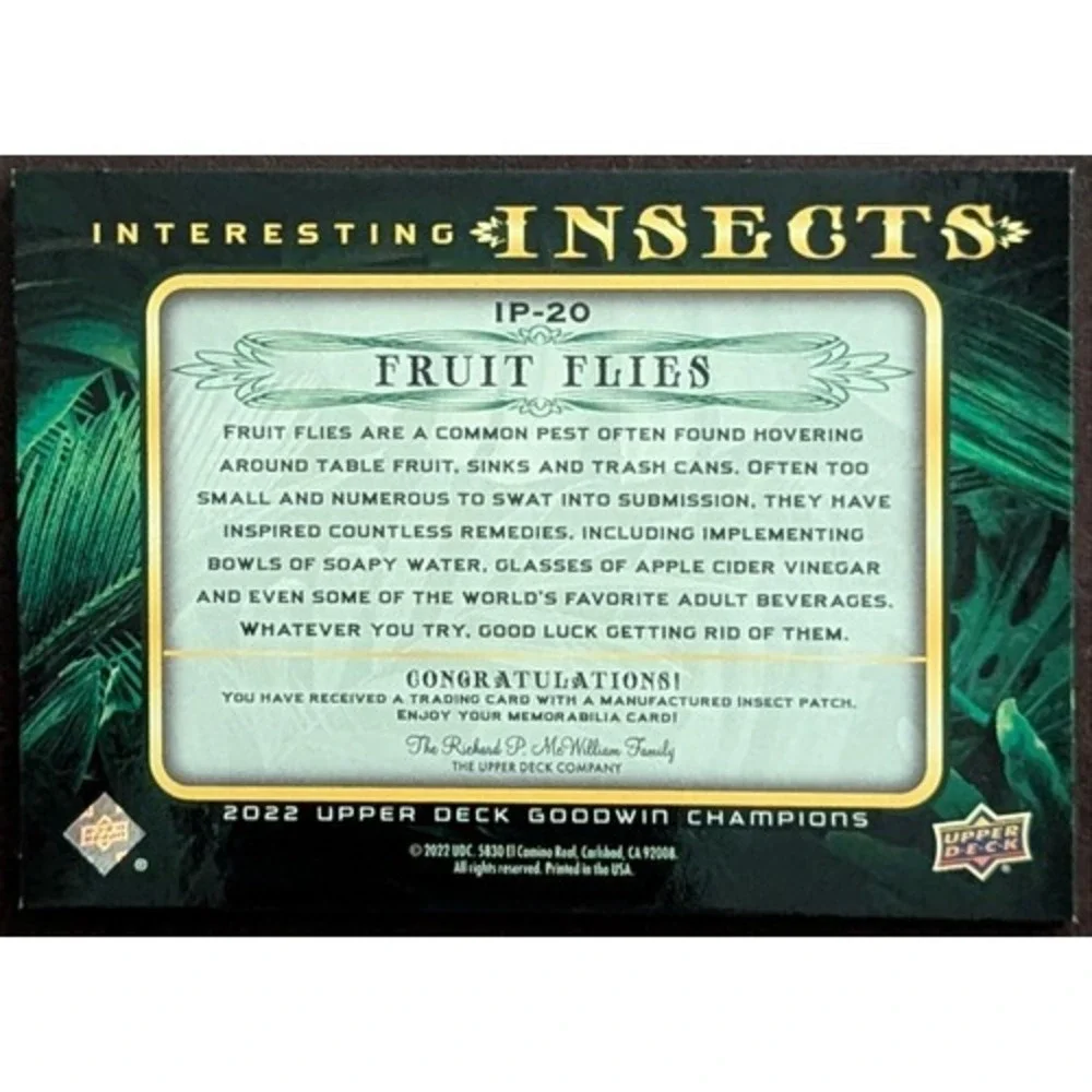 Upper Deck us patch