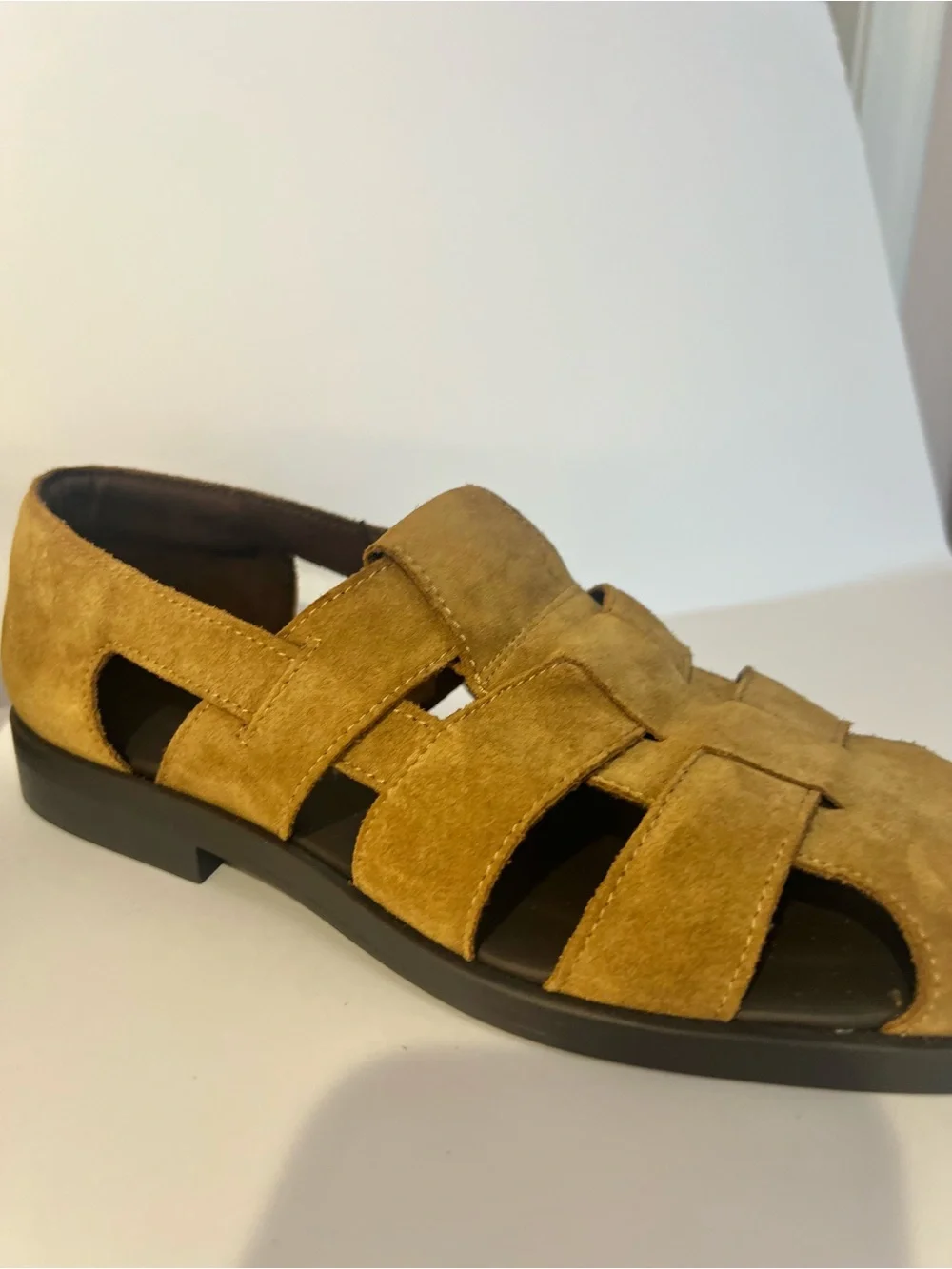 Zara limited edition