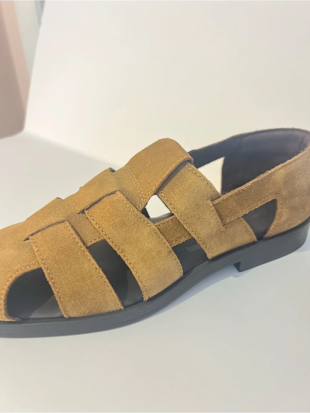 Zara limited edition