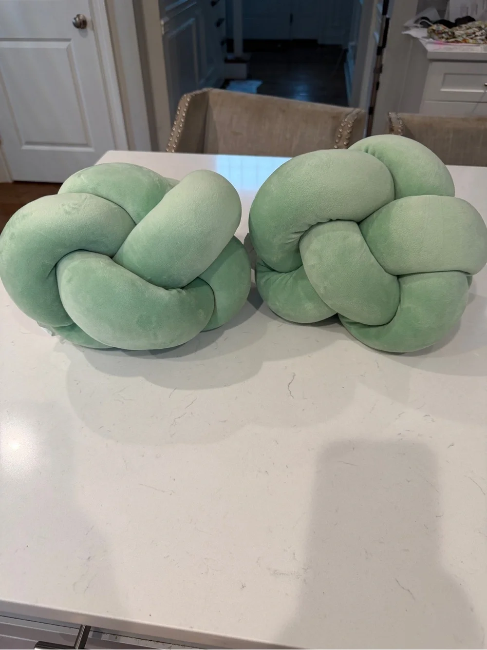 Plush Knot Pillow Pair in Mint Green NWT