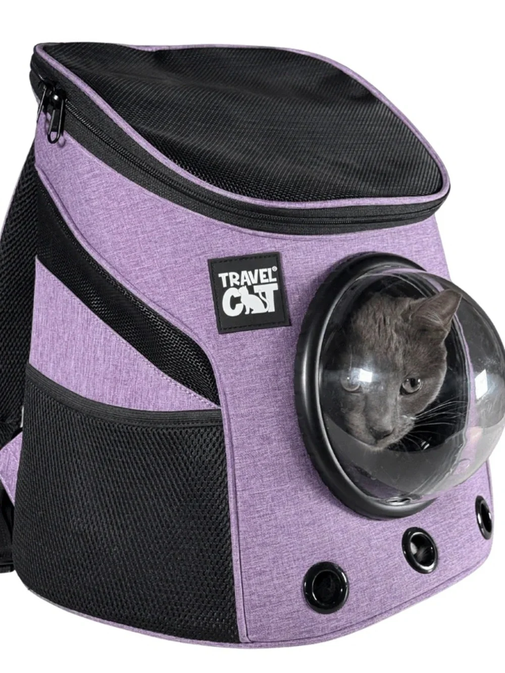 Fat Cat Mini Cat Backpack