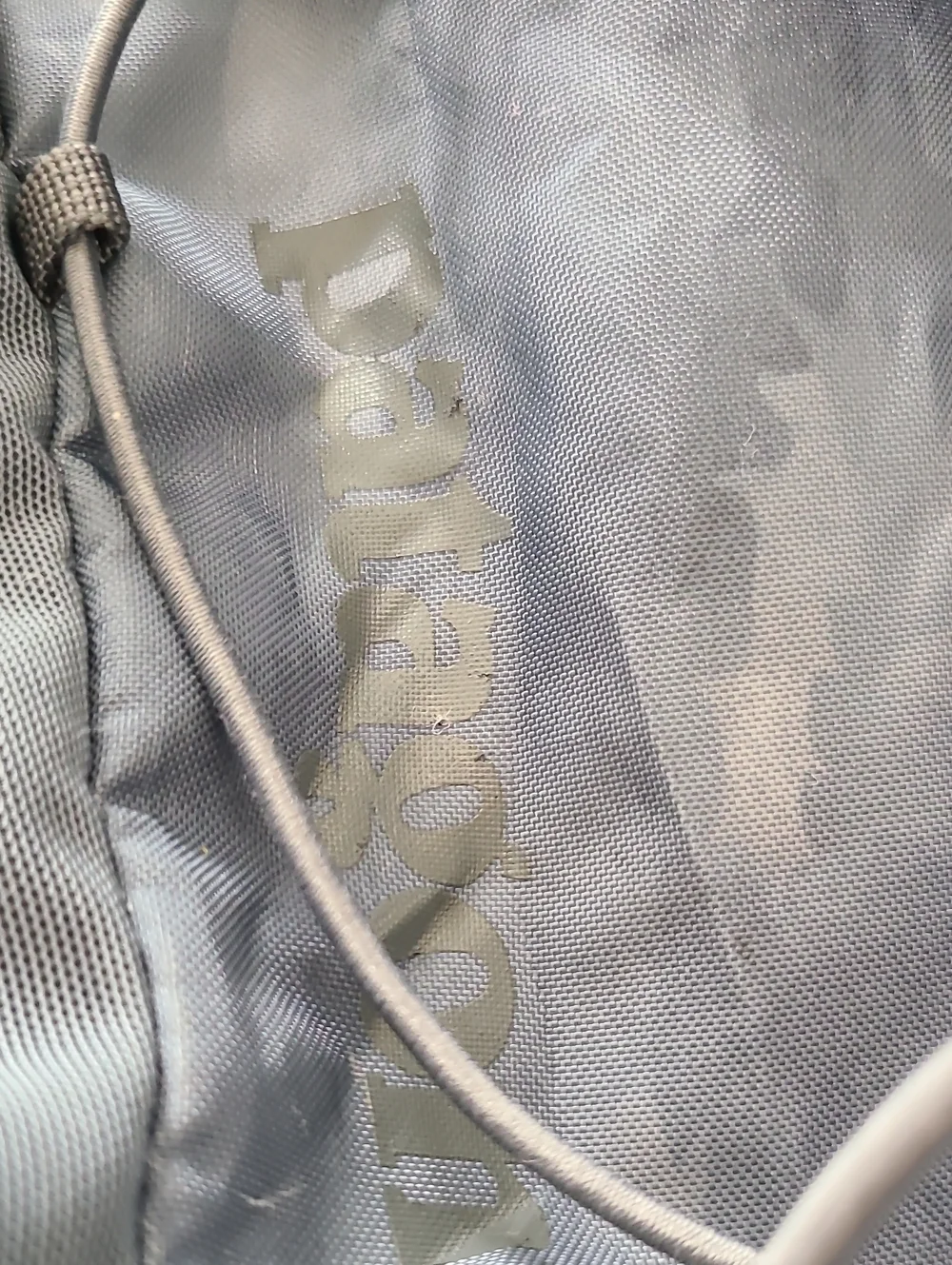 Patagonia blue light print
