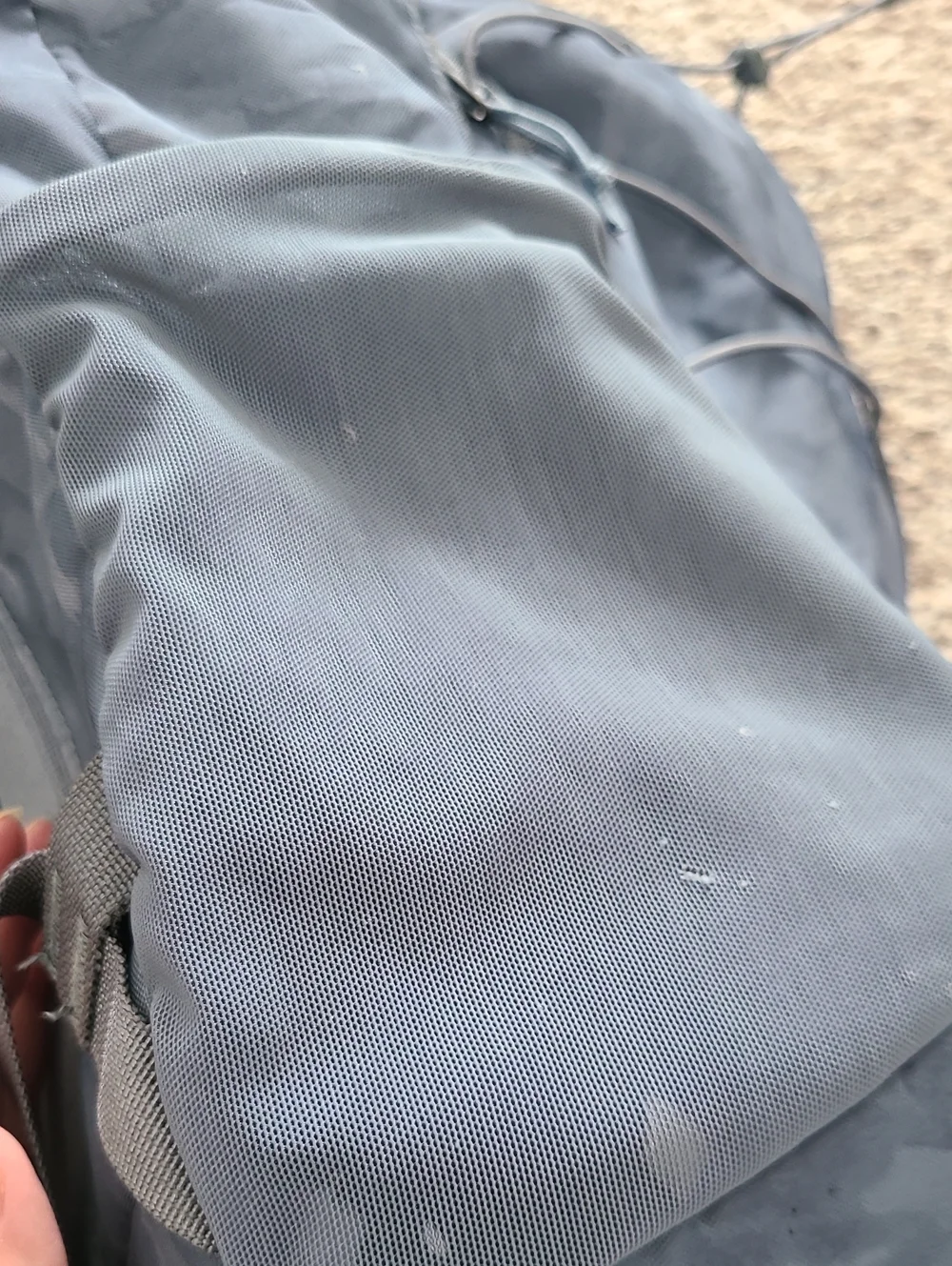 Patagonia durable print