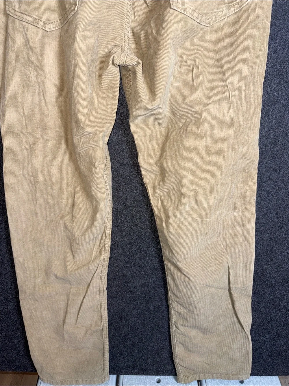 Levis levis 511