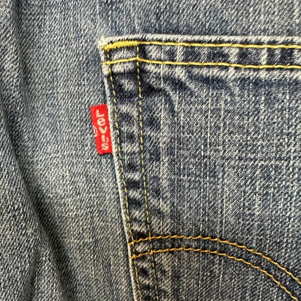 Levis levi 569