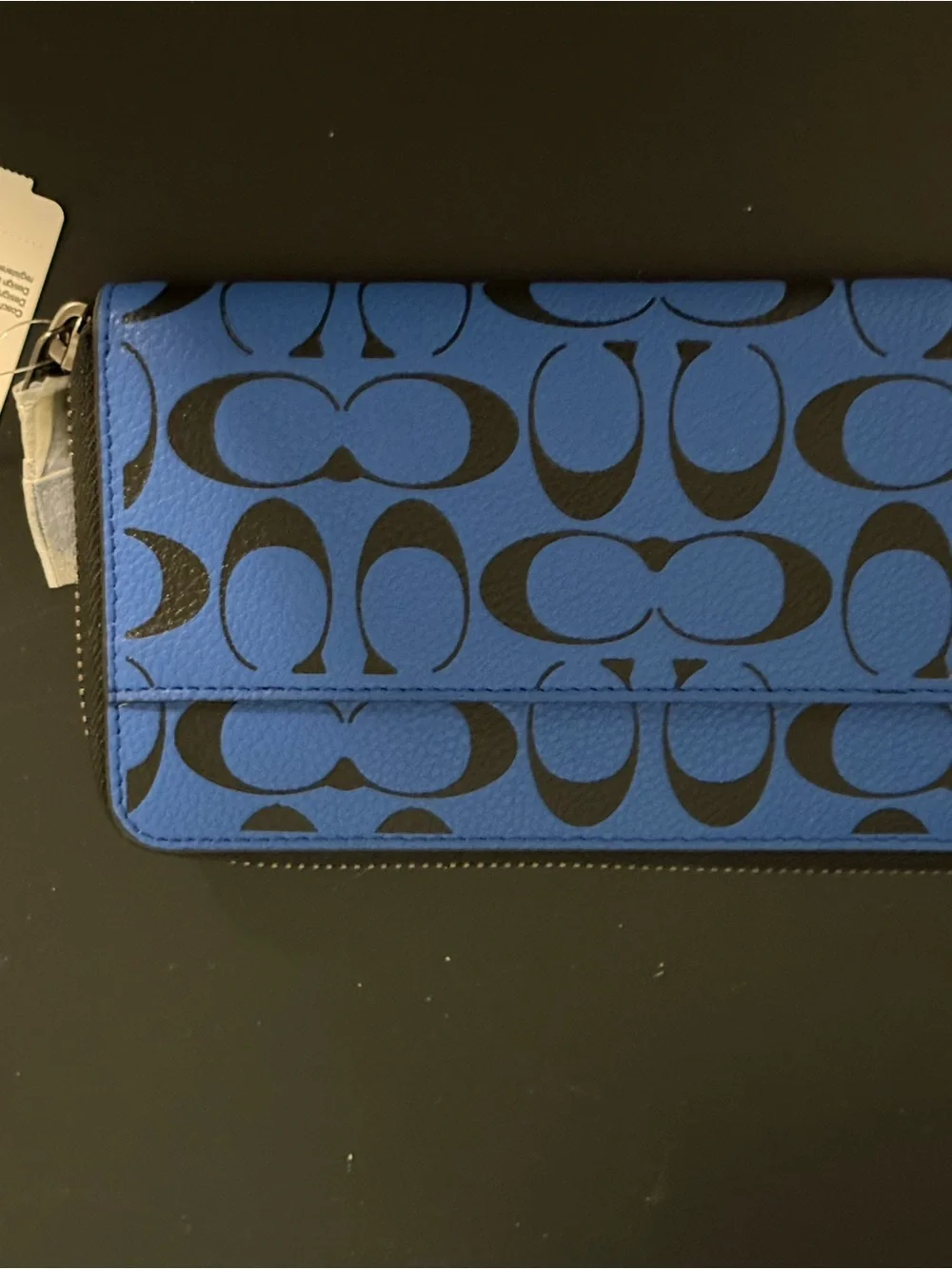 Coach close up
