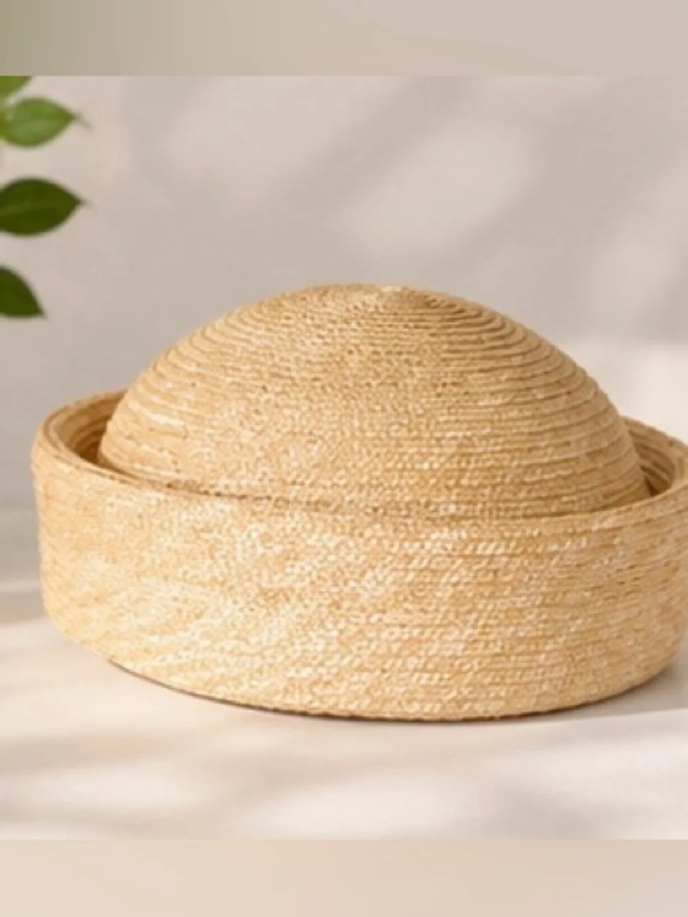 Anthropologie elevate your