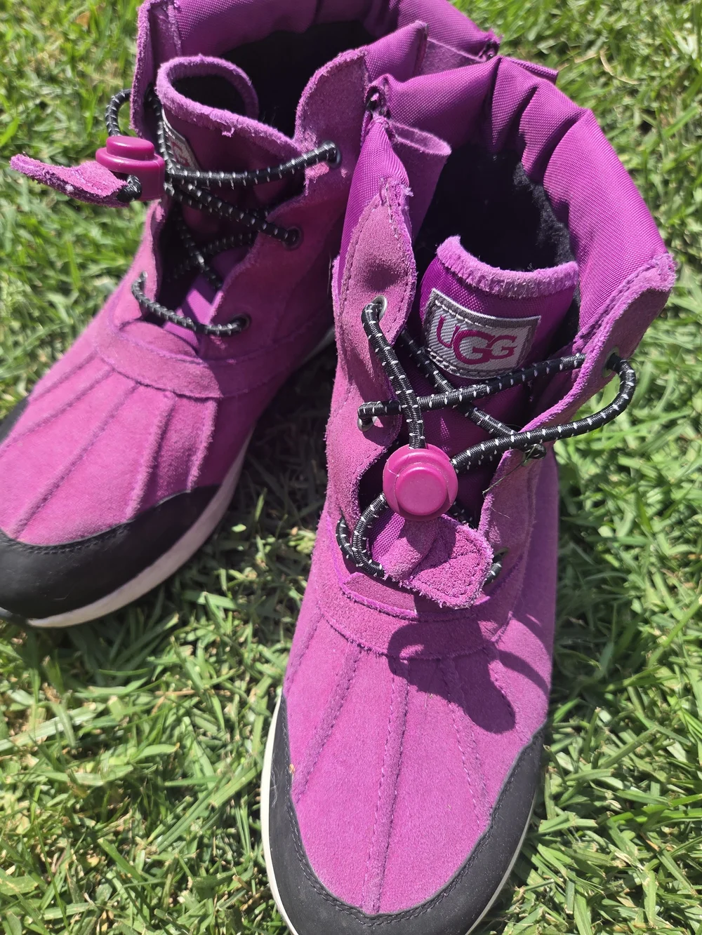 UGG bright purple