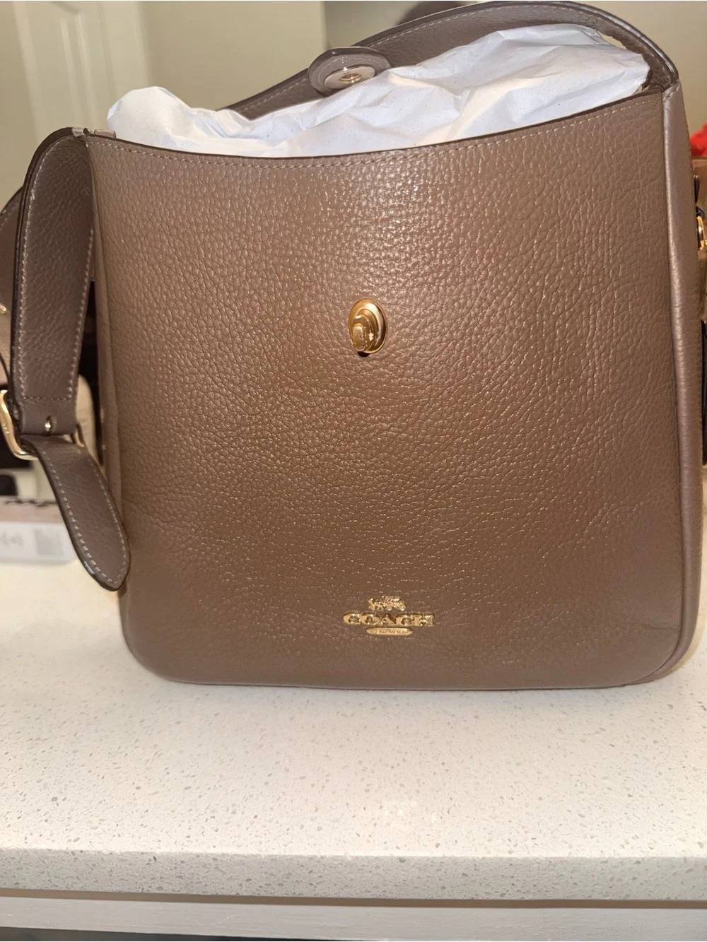 Coach Leather Shoulder Bag - Rose Taupe with Gold Hardware