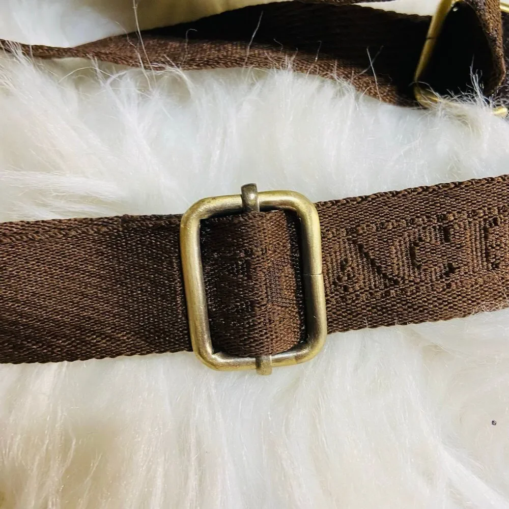 Brown Coach Webbing Strap