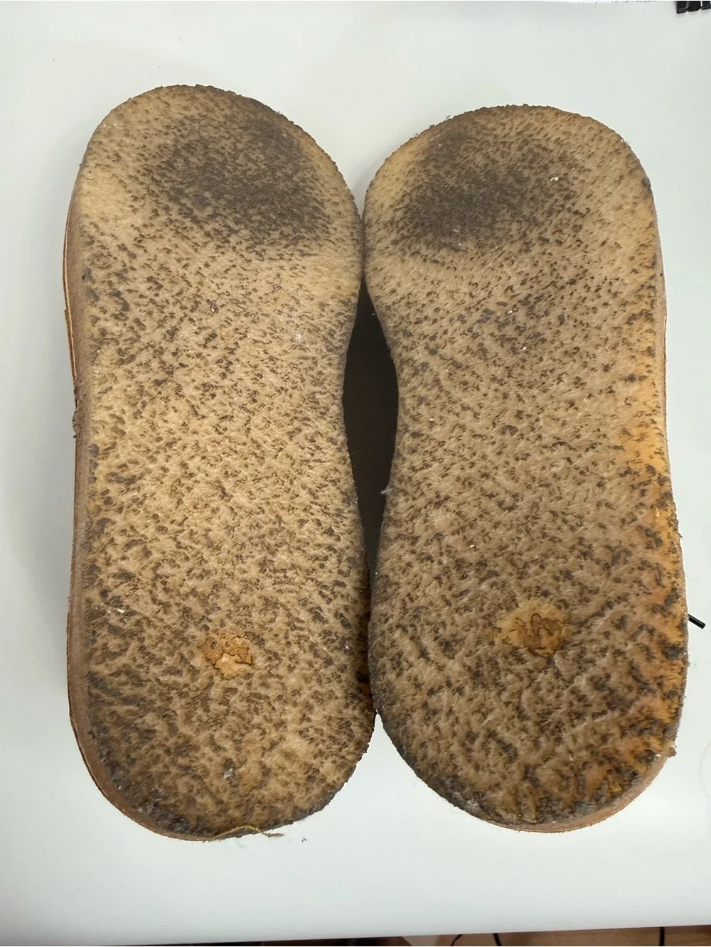 Clarks desert trek