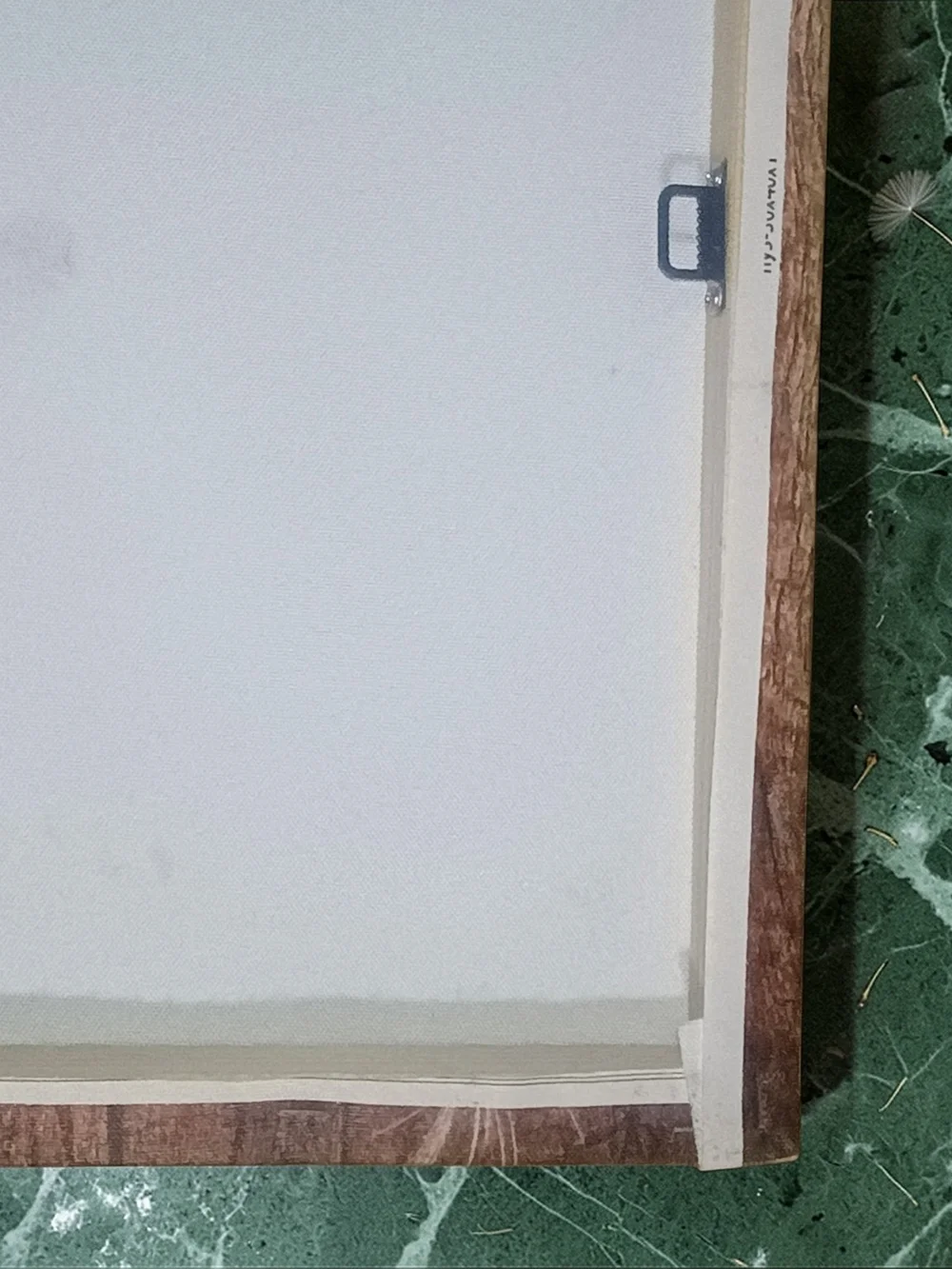 Wall26 dandelion canvas
