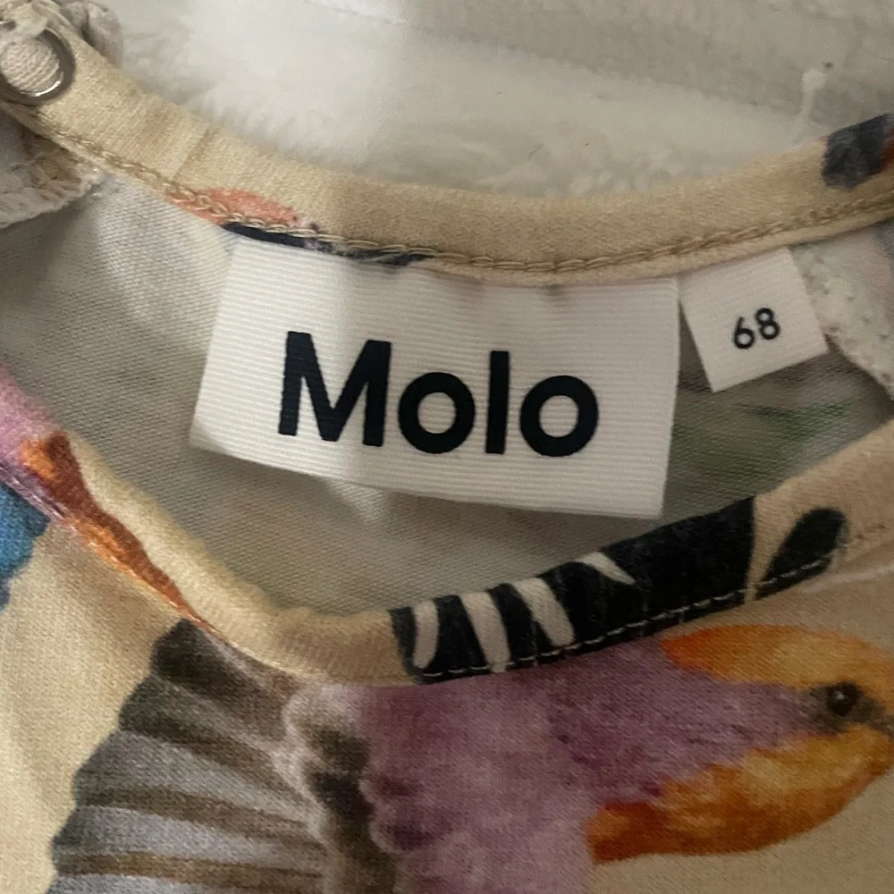Molo bright jungle