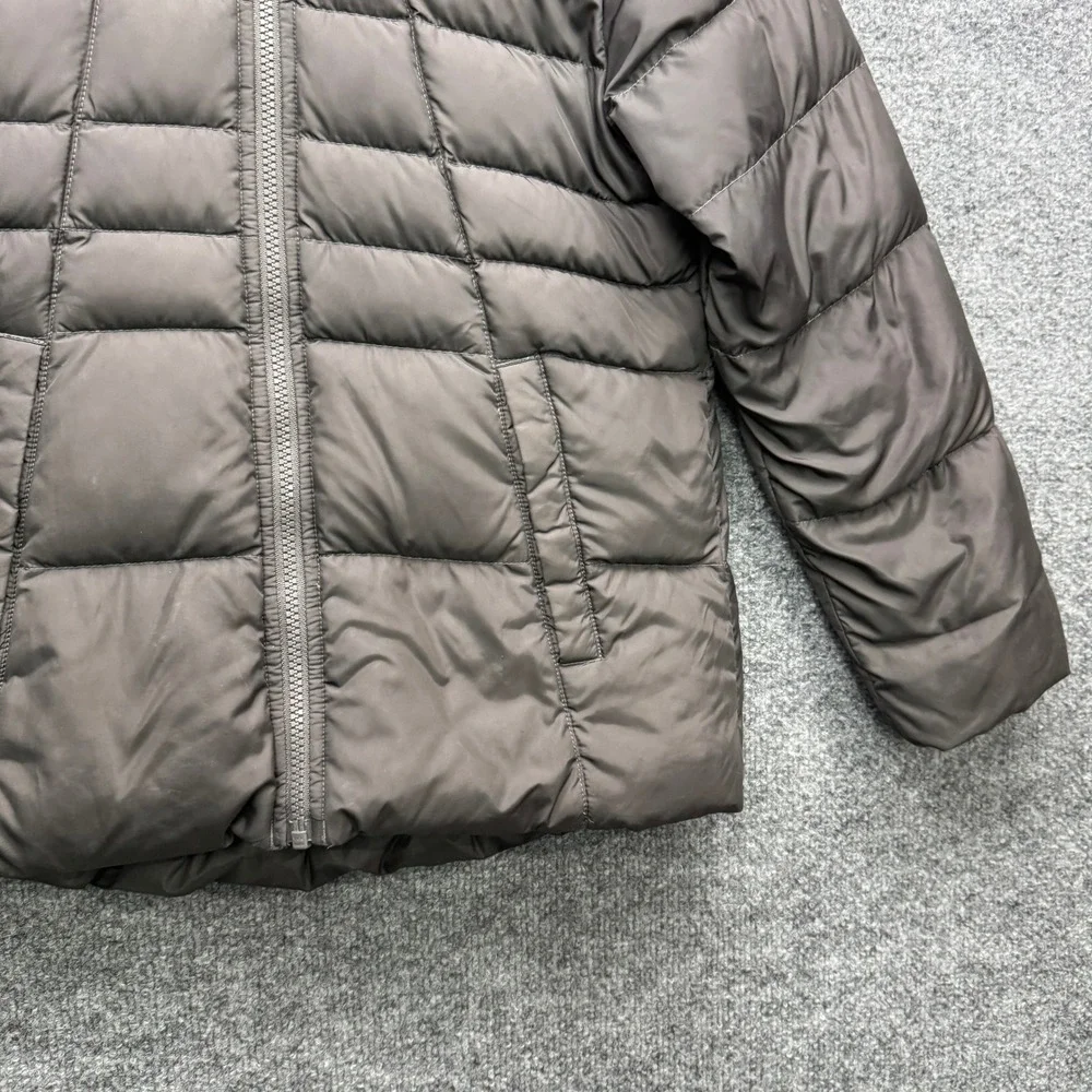 The North Face brand north