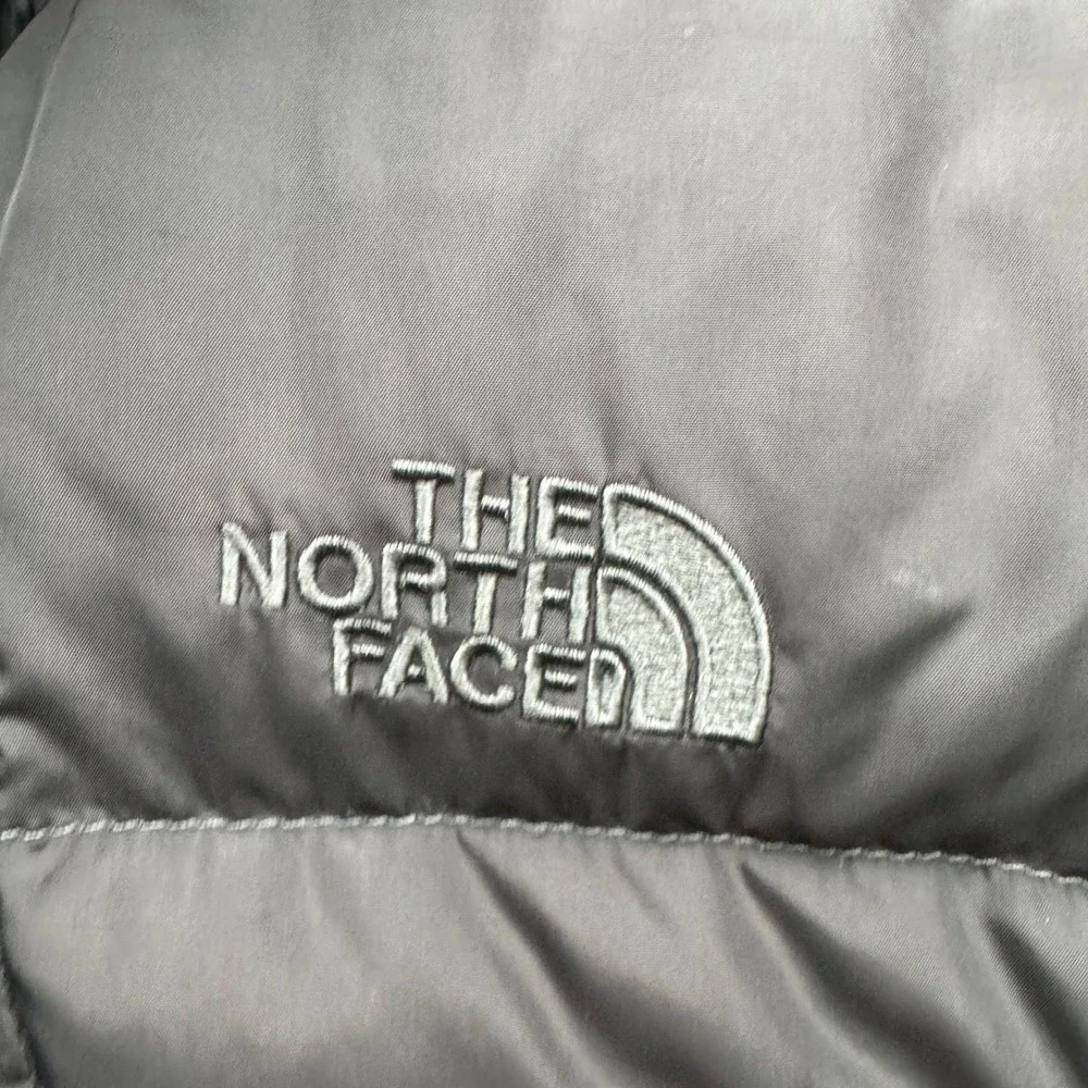 The North Face brand north