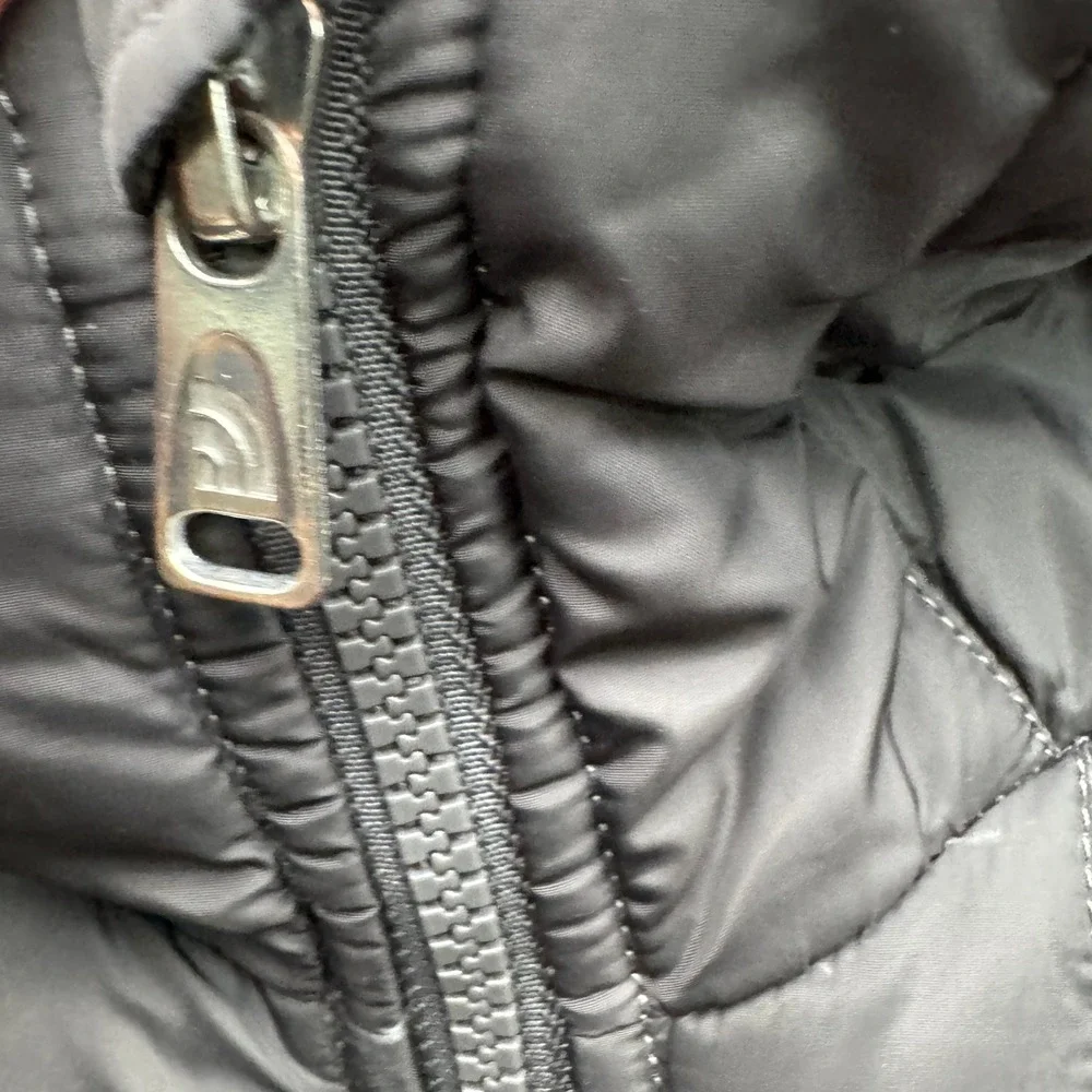 The North Face brand north