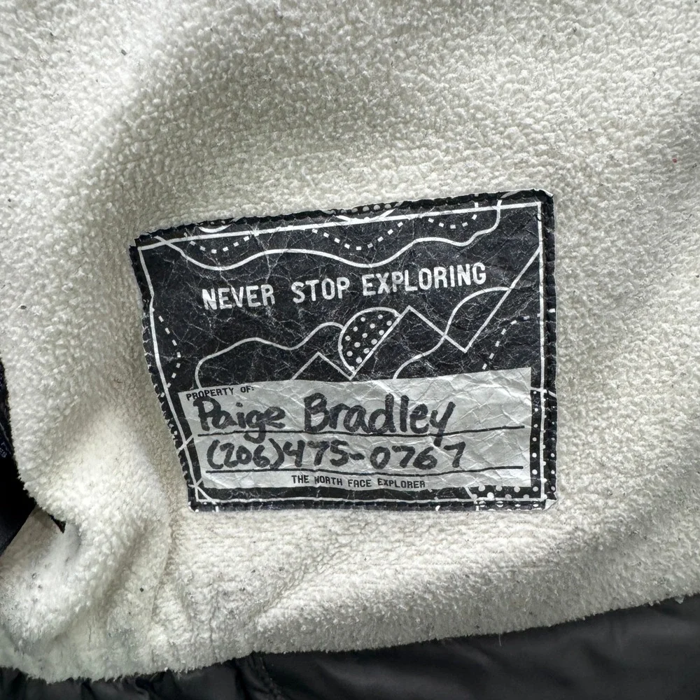 The North Face brand north
