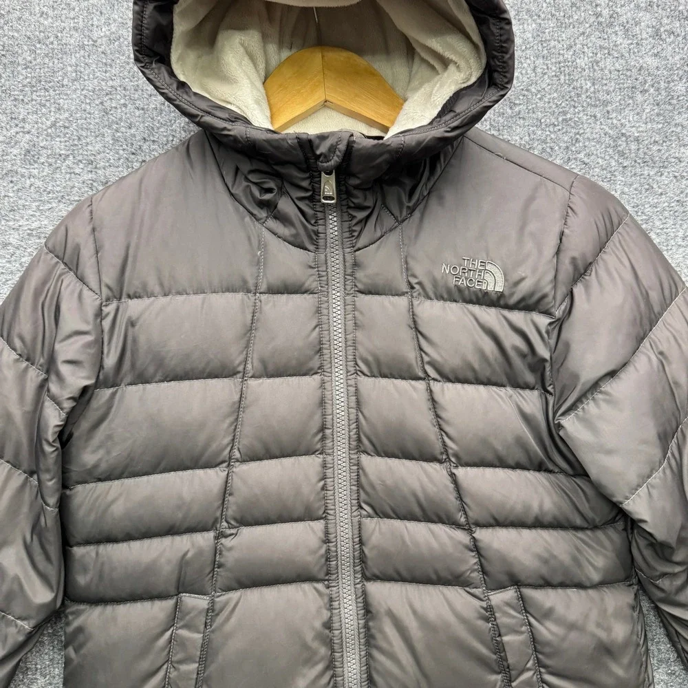The North Face brand north