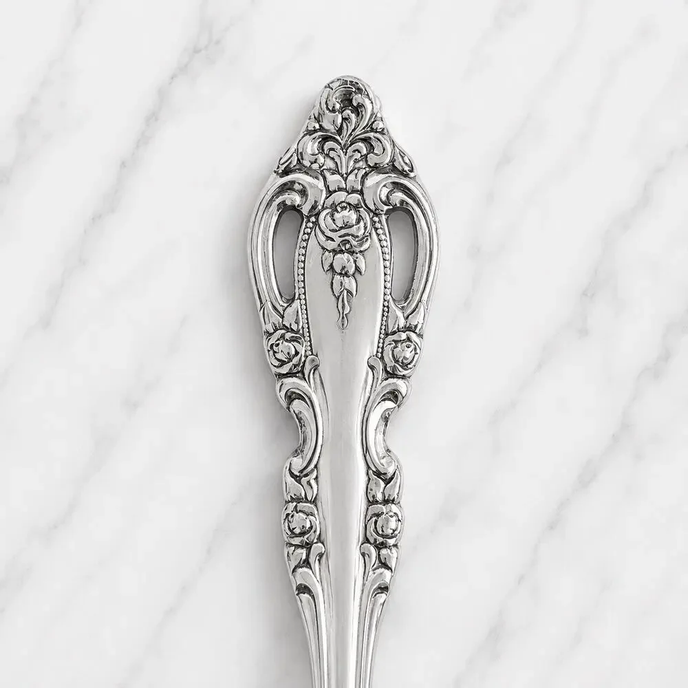 Oneida Community BRAHMS Stainless Serving Gravy Ladle Silverware Flatware Rococo
