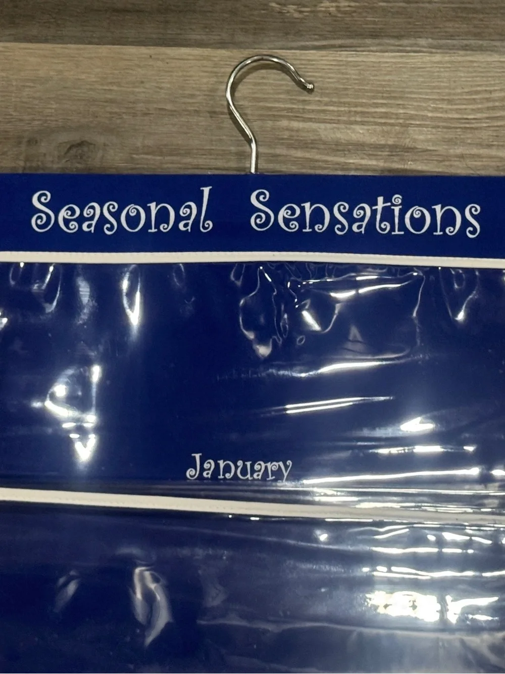 Blue 12-Monthly Pocket Hanging Organizer  44”x15”