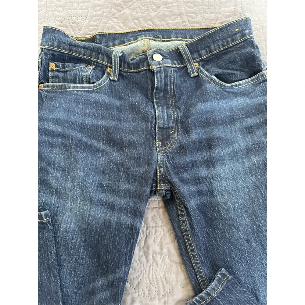 Levis levi 559