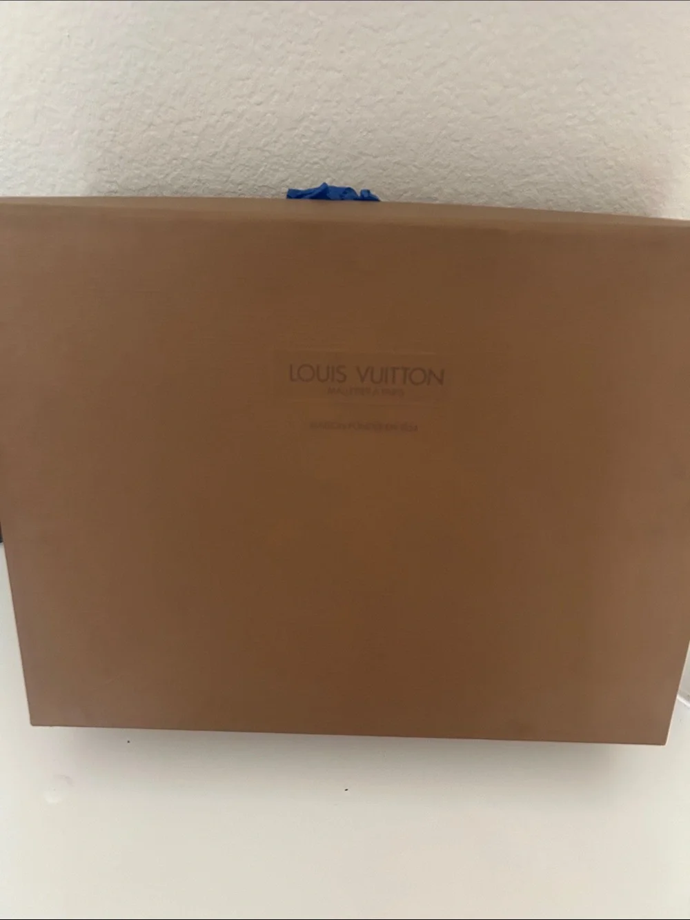 Louis Vuitton mint leather