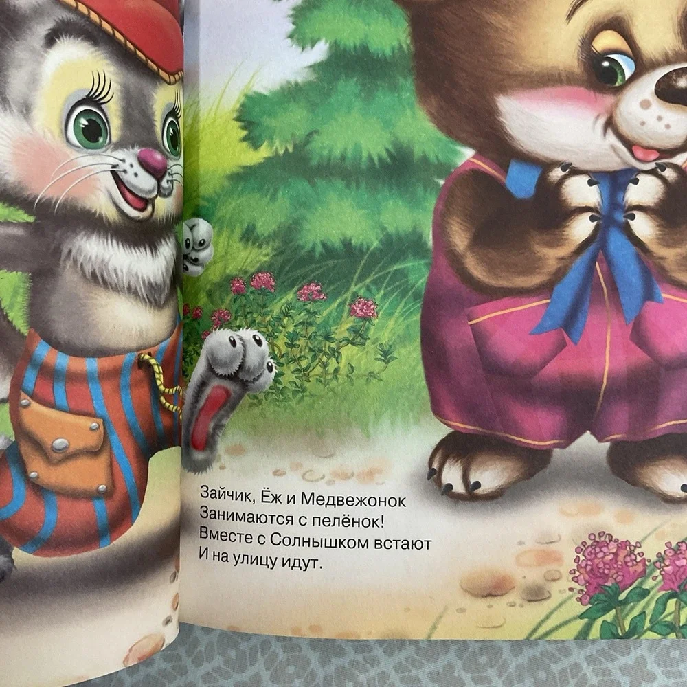 N/A описание книги